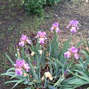 ���� ������, ���������-�������, 57 ��� - ��������� 18 ��� 2018 � ������ ������