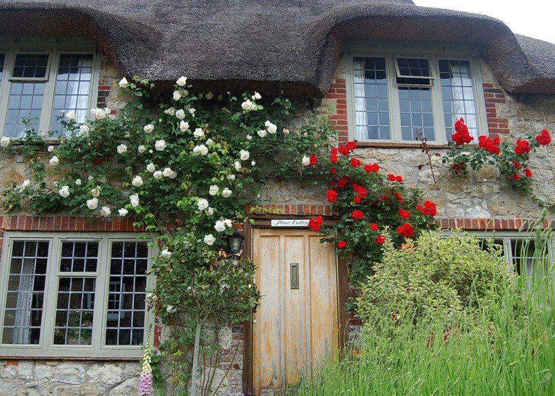 .    /Amberley Castle.  - Amberley Castle  ... - 4