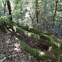 ���� �����, ����������� - ��������� 29 ����� 2018 � ������ ���� ����������