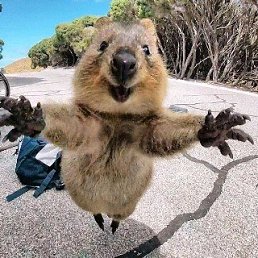 ���� Santasinner, �������, 62 ���� - ��������� 30 ������ 2018