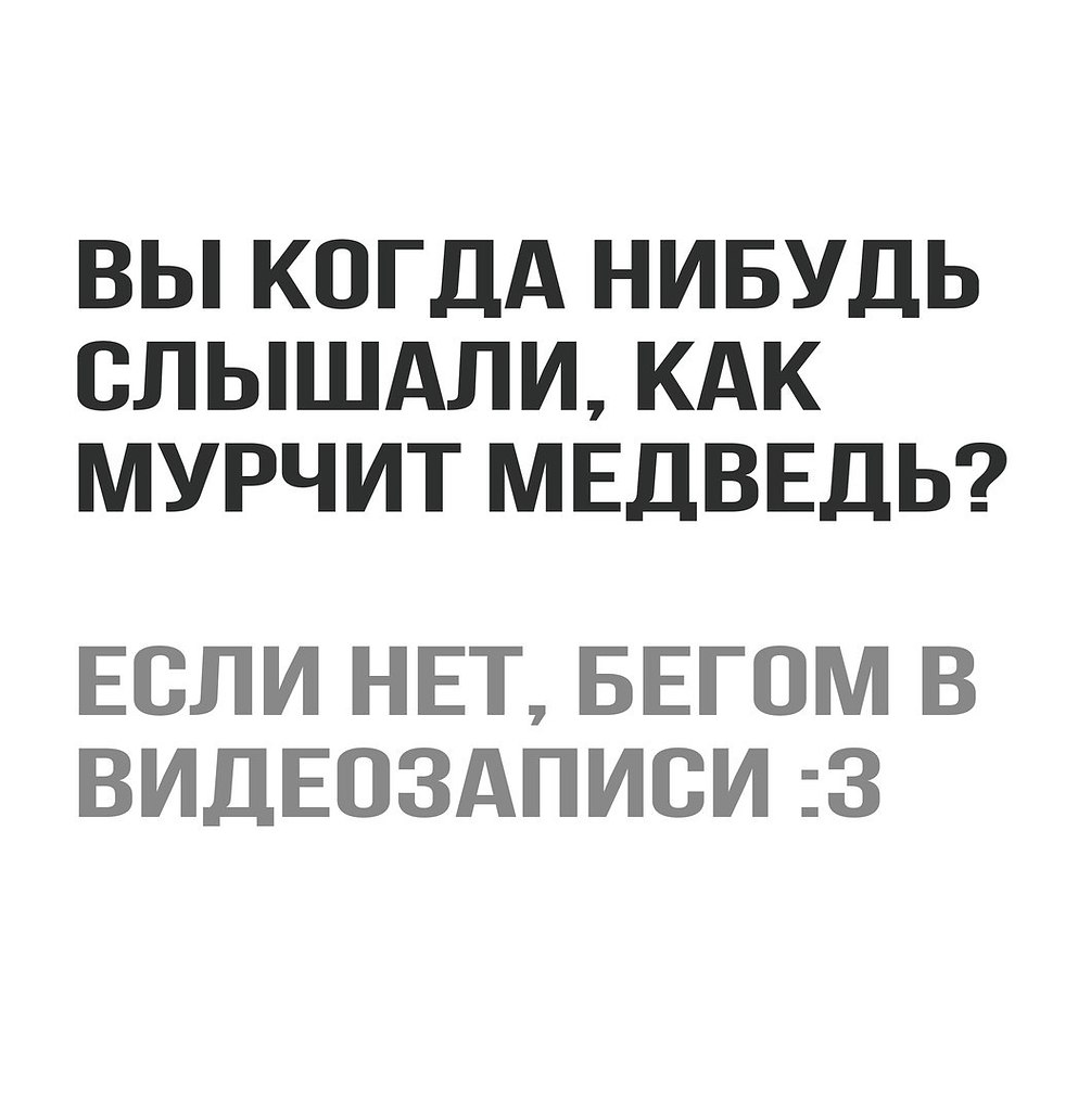    - 8  2018  03:49