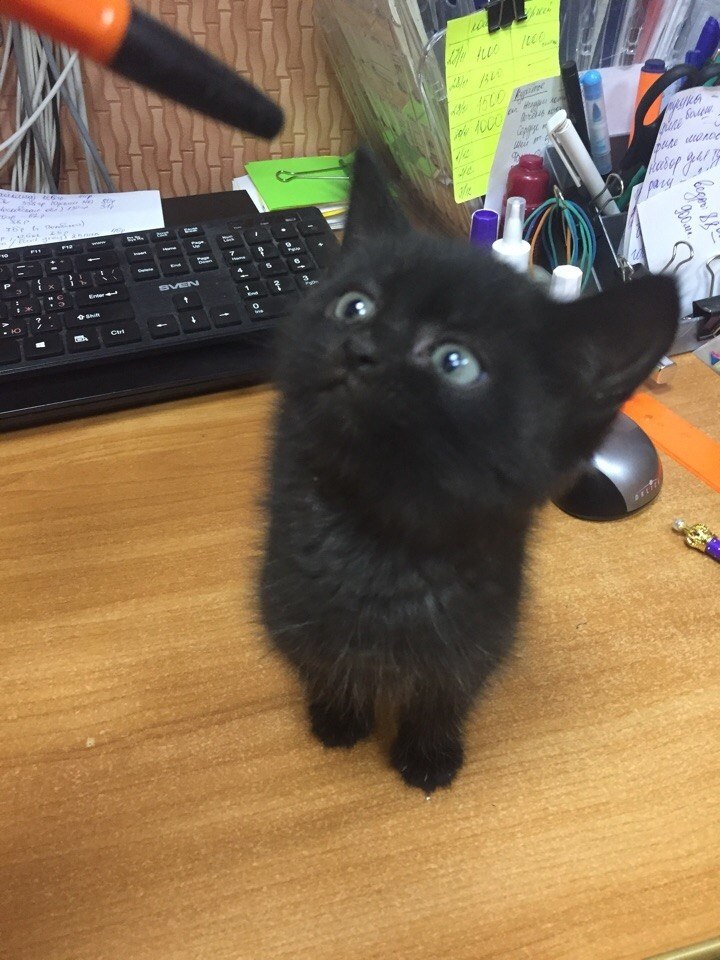 #_.          ..    ...