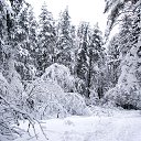 ���� ������, ������, 71 ��� - ��������� 7 ������� 2018 � ������ ���������� ������ ��ѻ