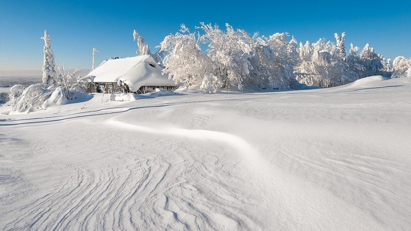     - 10