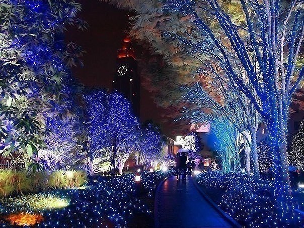 �� ��������� ��� �������� ������ ������� � ������.