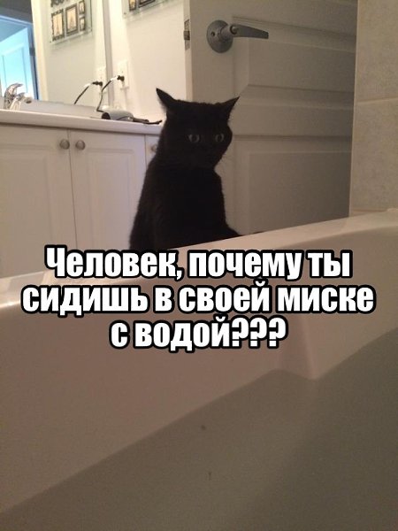    ,     - 3