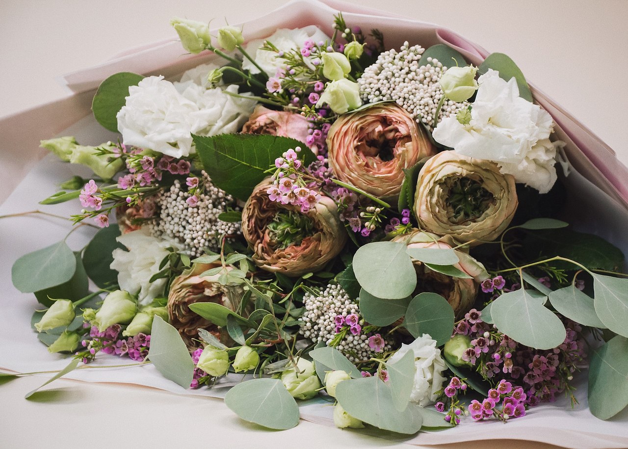 ������� ��� , ������! ����� ��� ���������, ��� 26 ������ �������� ����� ������ �������� - ���� ... - 7