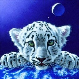 ����, ������, 51 ���