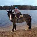 ���� �����, �����-���������, 62 ���� - ��������� 30 ������� 2017 � ������ ������ � �������� ������ 2017 7.�