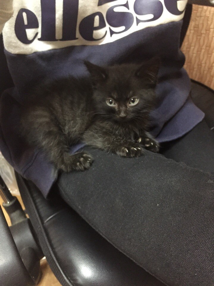 #_.          ..    ... - 3