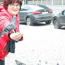 ���� ��������, ���������, 61 ��� - ��������� 14 ��� 2018 � ������ ���� ����������