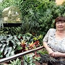 ���� ����, ������������ - ��������� 25 ����� 2018 � ������ ���� ����������