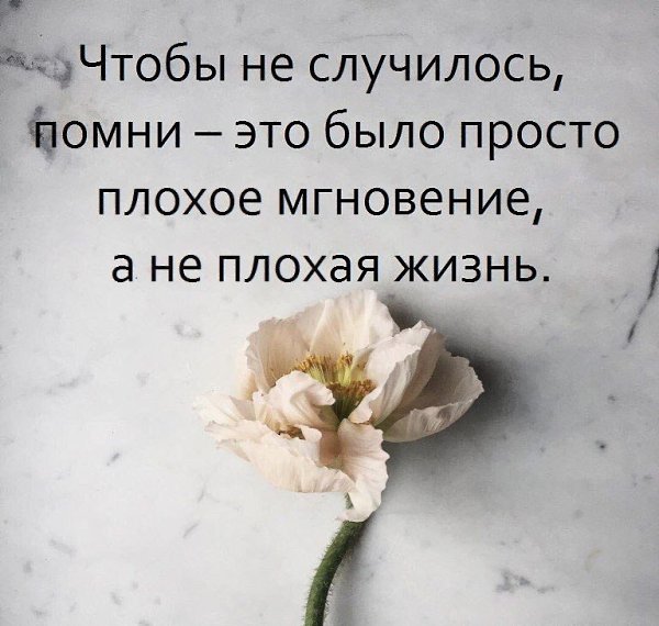    - 8  2018  04:08