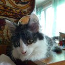 ���� Sergey, ����-�����������, 50 ��� - ��������� 19 ��� 2018 � ������ ���� ����������