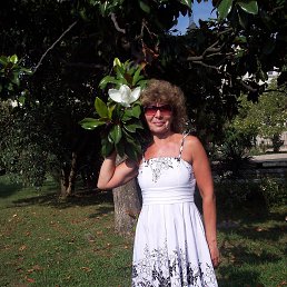 ��������, �����������, 67 ���