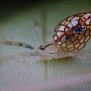 ���� ������, ������, 49 ��� - ��������� 22 ������ 2018 � ������ ���� ����������