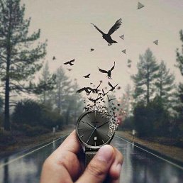 ���� Tilek*****, ������ - ��������� 10 ���� 2018