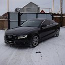 ���� ����, ��������� - ��������� 5 ������ 2018 � ������ ���� ����������