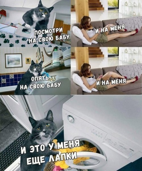 ������ - 5 ����� 2018 � 03:46