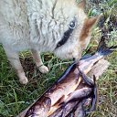 ���� ������, ������������, 48 ��� - ��������� 9 ������� 2018 � ������ ���� ����������