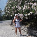 ���� ����, ������� - ��������� 26 ������� 2017 � ������ ���� ����������