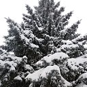 ���� ������, ����� ������, 58 ��� - ��������� 21 ������ 2018 � ������ �������� 21.01.2018 �.�