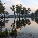 ���� ���������, ��������, 48 ��� - ��������� 5 ������ 2018 � ������ ���� ���