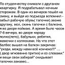  Plyushik, , 35  -  16  2017    