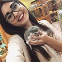 ���� ���@���, ������, 33 ���� - ��������� 1 ������ 2018 � ������ ���� ����������