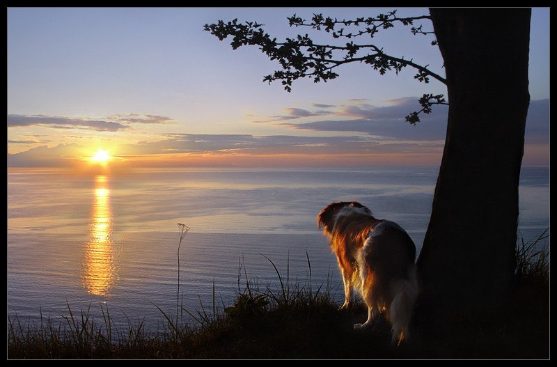 Lara - 22  2018  15:57