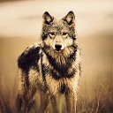 ���� �������, ������-��-����, 40 ��� - ��������� 30 ����� 2018 � ������ ���� ����������