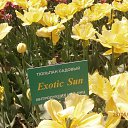  . 23.04.2018.   .          23.04.2018