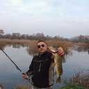  Beso, , 50  -  14  2018    