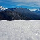 ���� �����, ����, 40 ��� - ��������� 10 ������� 2017 � ������ ������ ��������