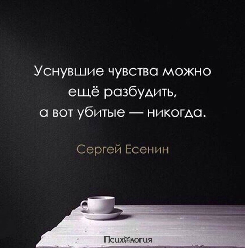  - 20  2017  03:29