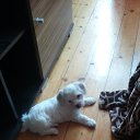 luy �� ������� ���� ����������
