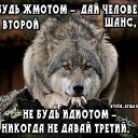 ���� �������, ������, 49 ��� - ��������� 9 ���� 2018 � ������ ������ ��������
