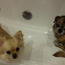 ���� ������, �����-���������, 50 ��� - ��������� 30 ������ 2018 � ������ ���� ����������