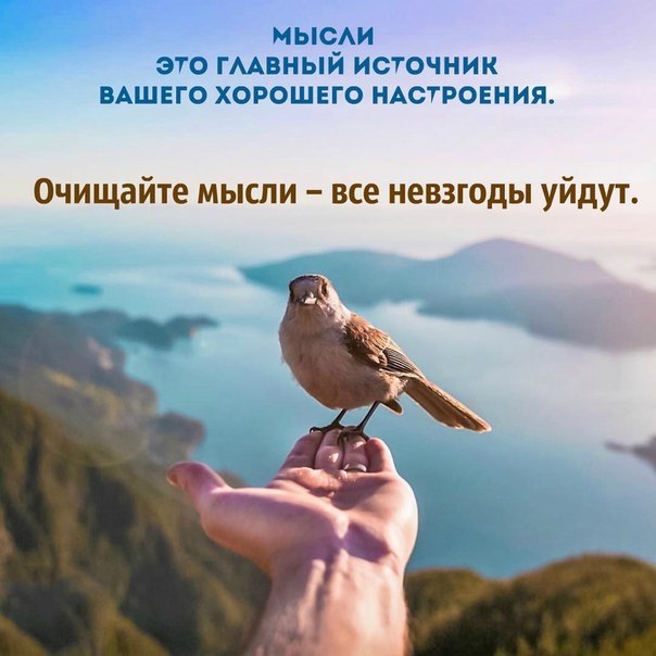    - 6  2018  03:51