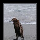  () , , 47  -  13  2017    :)