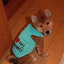 ���� �����, �����-���������, 56 ��� - ��������� 5 ������ 2018 � ������ ������ ��������