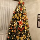 ���� �������� ��������, ������ �������, 61 ��� - ��������� 15 ������� 2018 � ������ ���� ����������