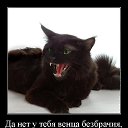 ���� �������, ������� - ��������� 3 ������� 2018 � ������ ���� ����������