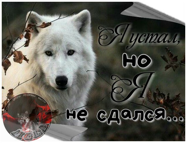 ����� � ���� - 2 ������� 2017 � 23:01