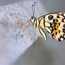 ���� Ok, ���� - ��������� 11 ������ 2018 � ������ ���� ����������