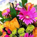 ���� ��������, ����������, 64 ���� - ��������� 7 ������� 2018 � ������ ���� ����������