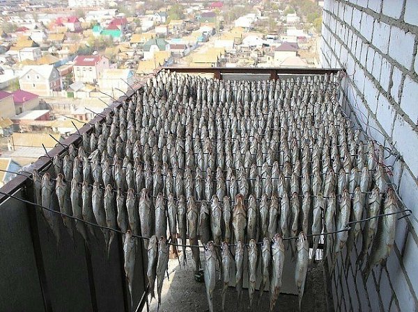Где эта улица, где этот дом? Вы адрес скажите, мы с пивом придём!!!