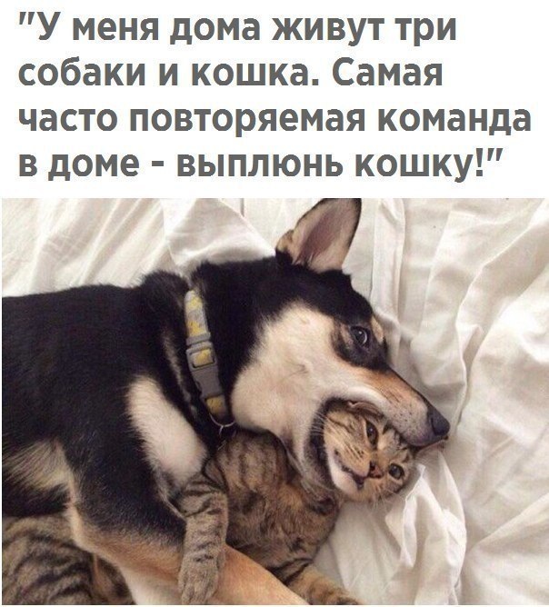    - 2  2018  03:58