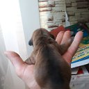 ���� �����, ����, 47 ��� - ��������� 30 ������ 2017 � ������ ���� ����������