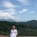 ���� ������, ���� - ��������� 27 ��� 2018 � ������ ������ ��������